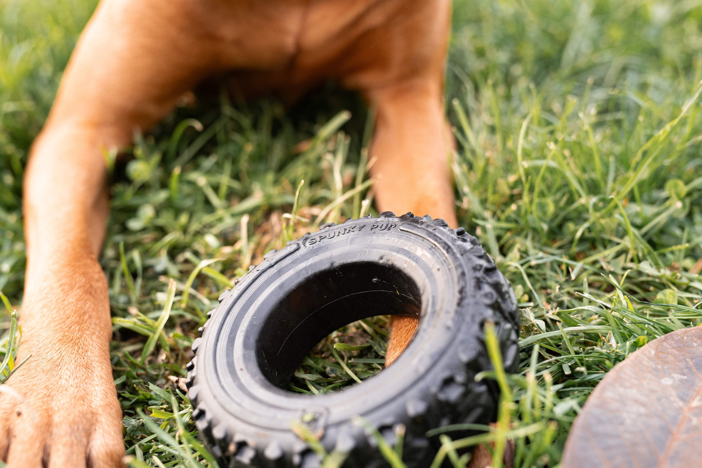 The Tire - Reclaimed Rubber Toy